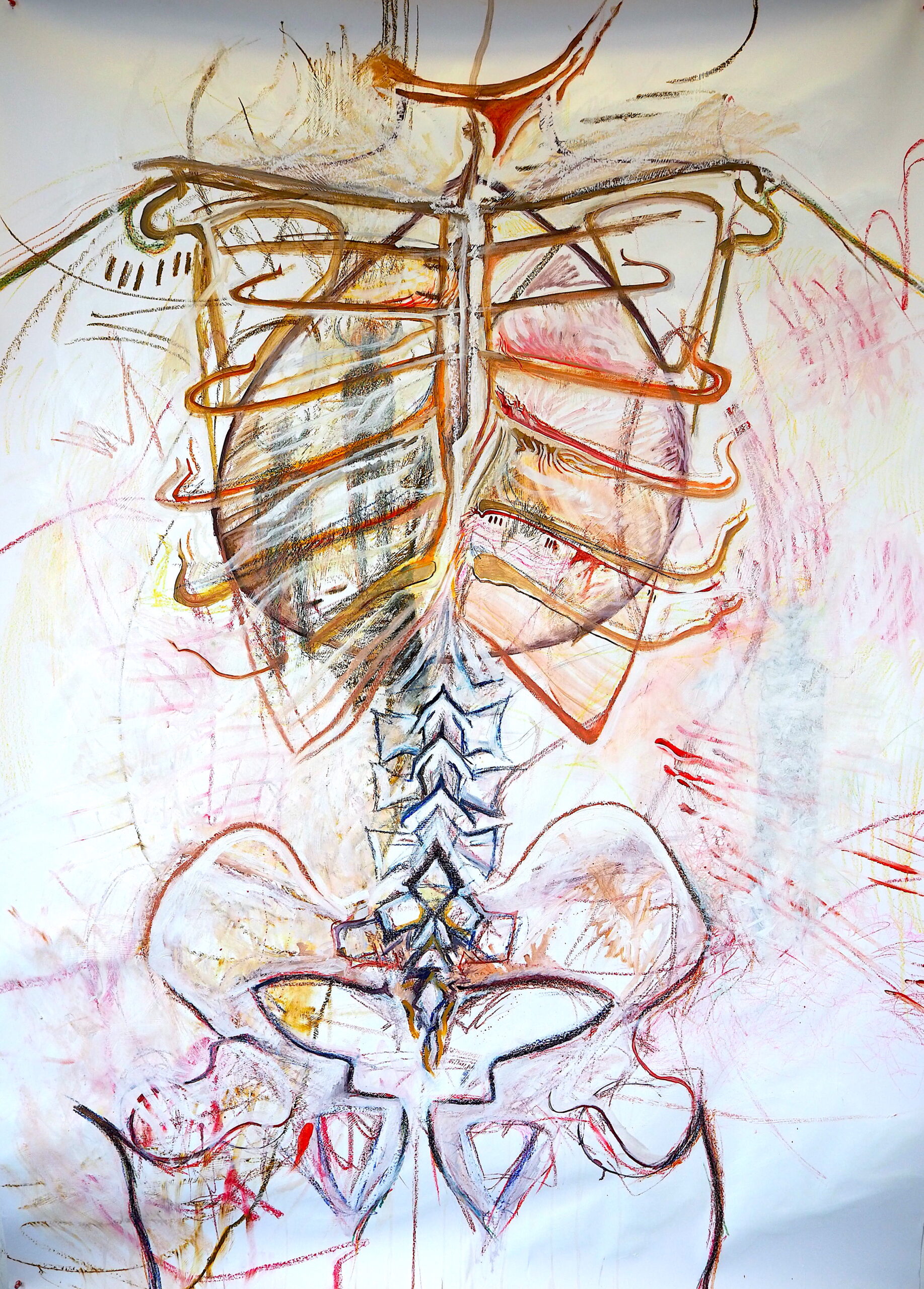 Inside Ribcage